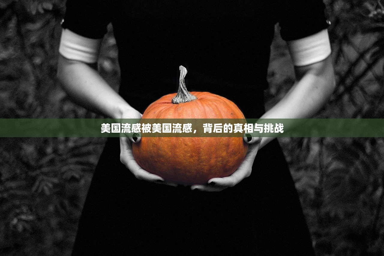 美国流感被美国流感，背后的真相与挑战  第1张