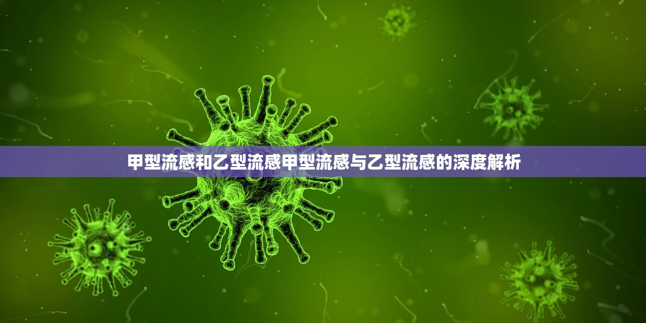 甲型流感和乙型流感甲型流感与乙型流感的深度解析  第1张