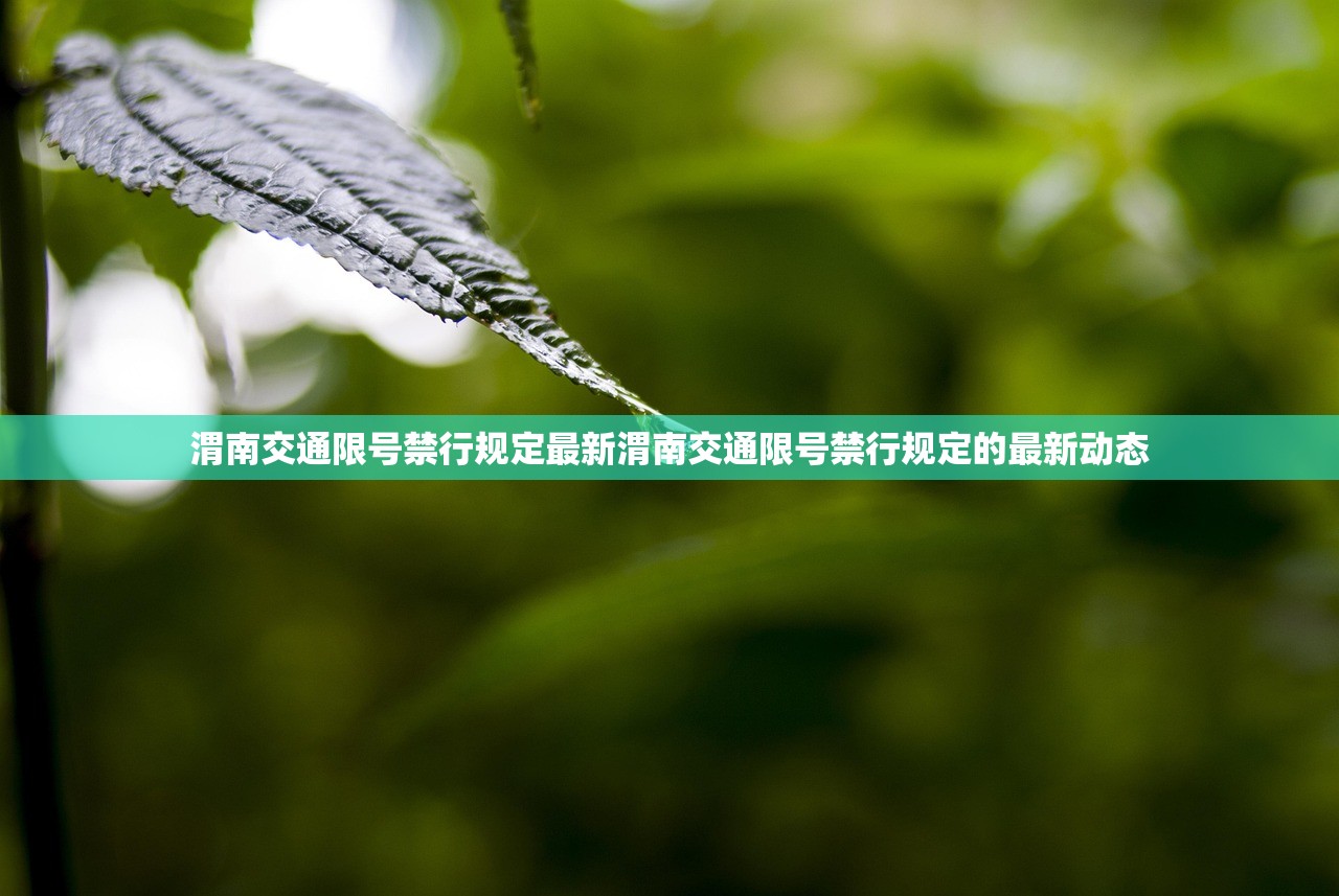 渭南交通限号禁行规定最新渭南交通限号禁行规定的最新动态  第1张