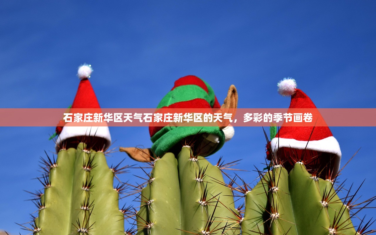 石家庄新华区天气石家庄新华区的天气，多彩的季节画卷  第1张