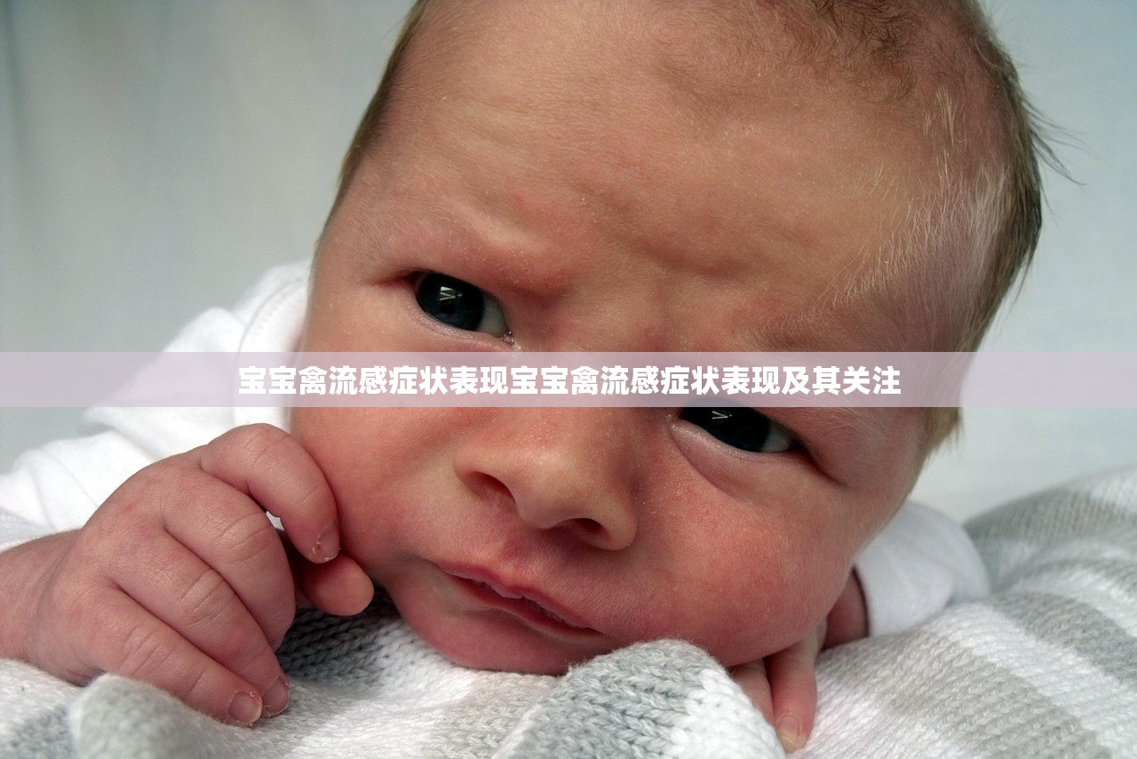 宝宝禽流感症状表现宝宝禽流感症状表现及其关注  第1张