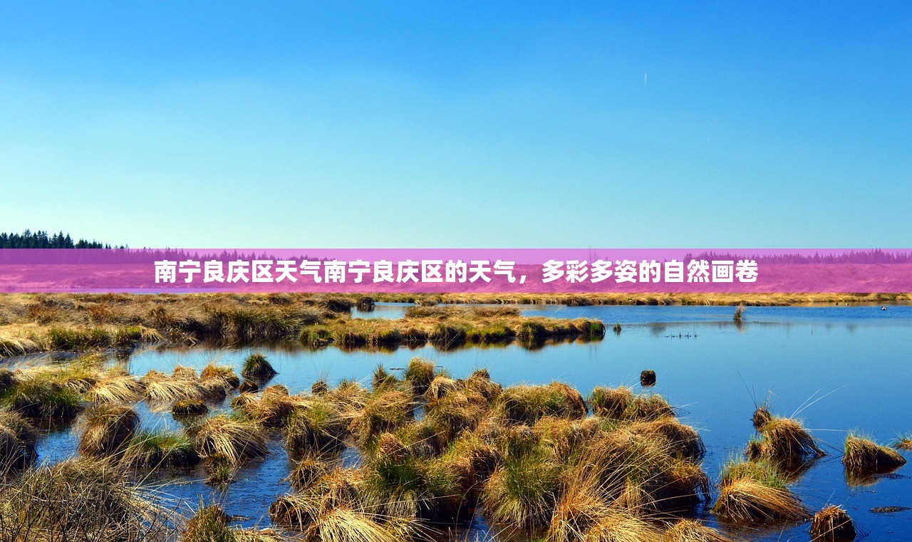南宁良庆区天气南宁良庆区的天气，多彩多姿的自然画卷  第1张
