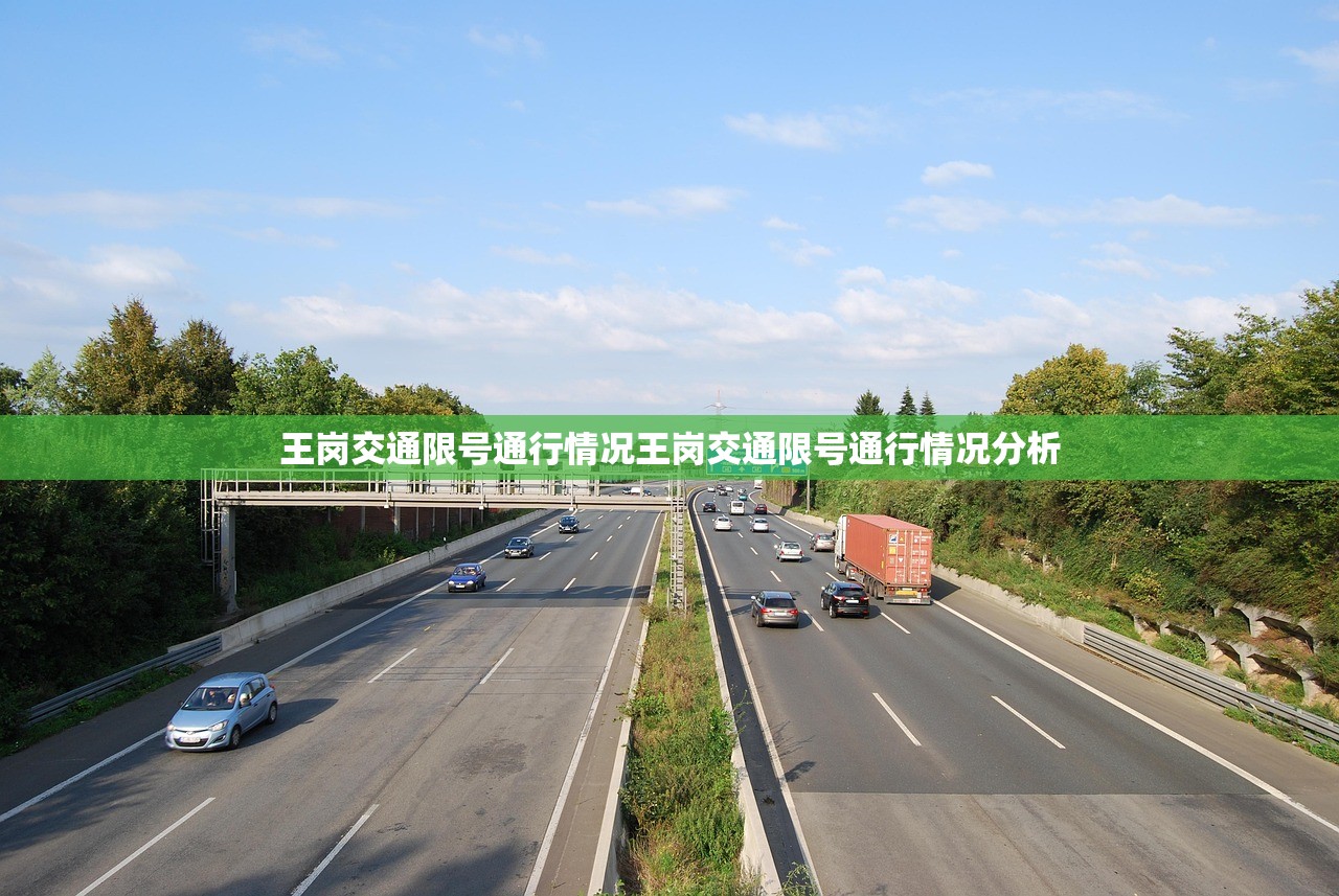 王岗交通限号通行情况王岗交通限号通行情况分析 第1张 王岗交通限号通行情况王岗交通限号通行情况分析 第1张