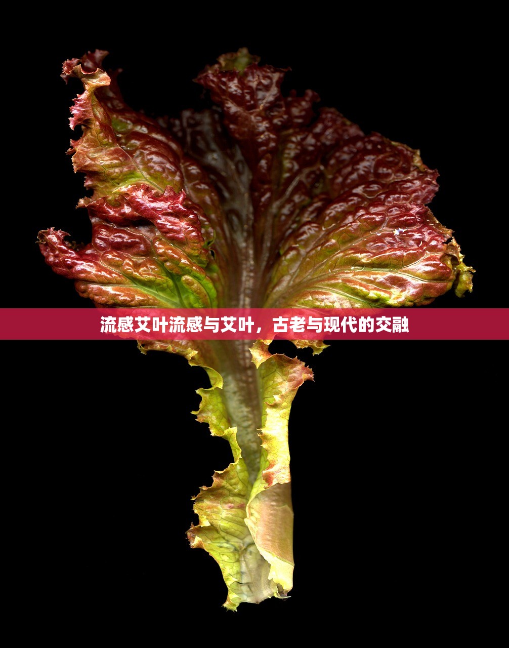 流感艾叶流感与艾叶，古老与现代的交融  第1张