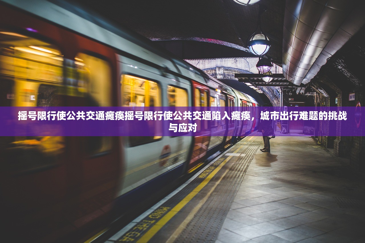 摇号限行使公共交通瘫痪摇号限行使公共交通陷入瘫痪，城市出行难题的挑战与应对  第1张