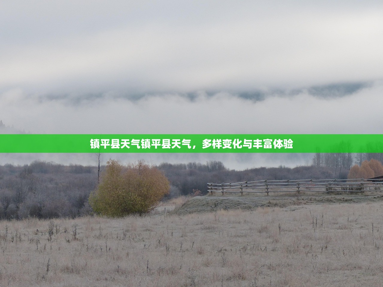 镇平县天气镇平县天气，多样变化与丰富体验  第1张