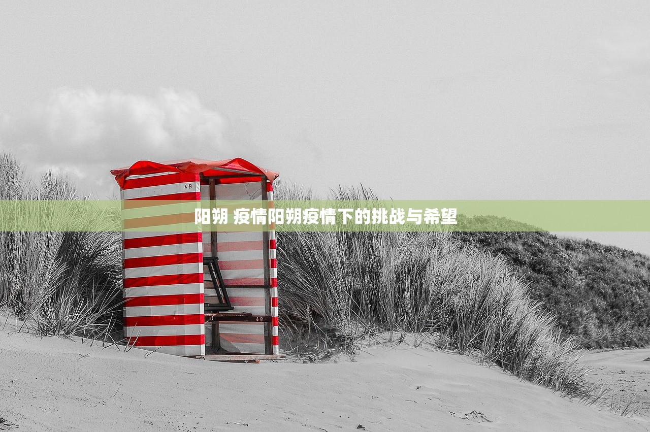 阳朔 疫情阳朔疫情下的挑战与希望 第1张 阳朔 疫情阳朔疫情下的挑战与希望 第1张