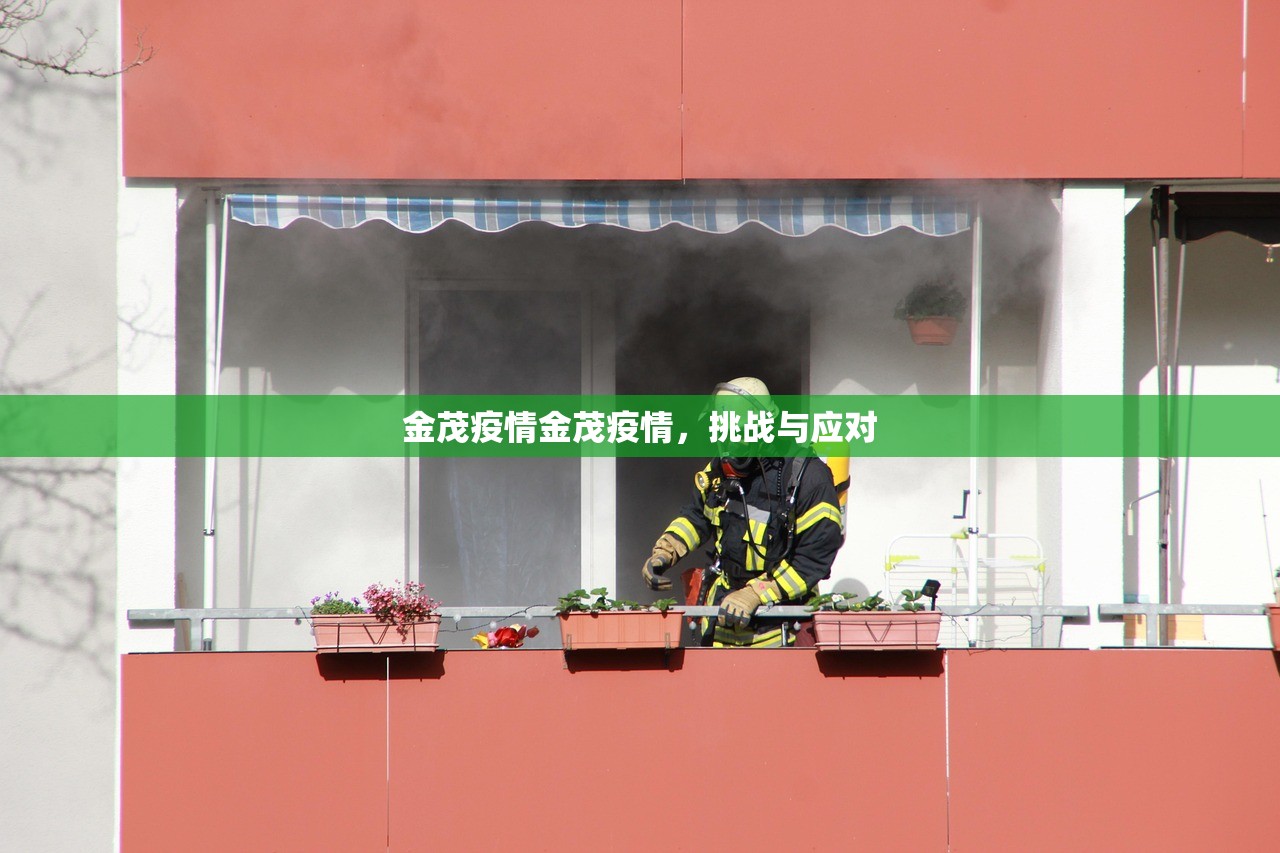 金茂疫情金茂疫情，挑战与应对  第1张