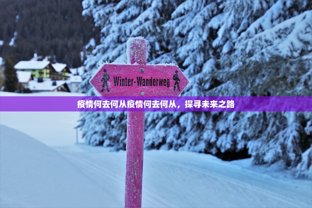 疫情何去何从疫情何去何从，探寻未来之路  第1张
