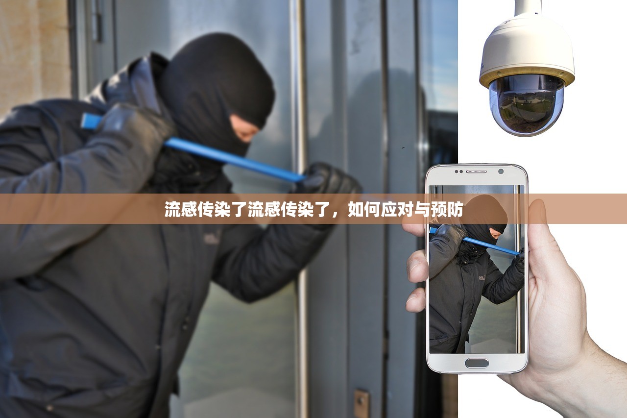 流感传染了流感传染了,如何应对与预防 第1张 流感传染了流感传染了,如何应对与预防 第1张