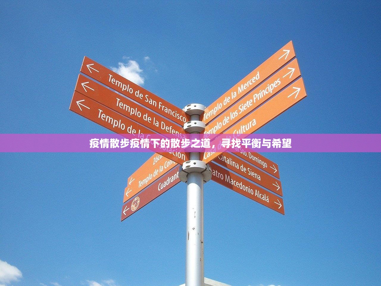疫情散步疫情下的散步之道，寻找平衡与希望  第1张