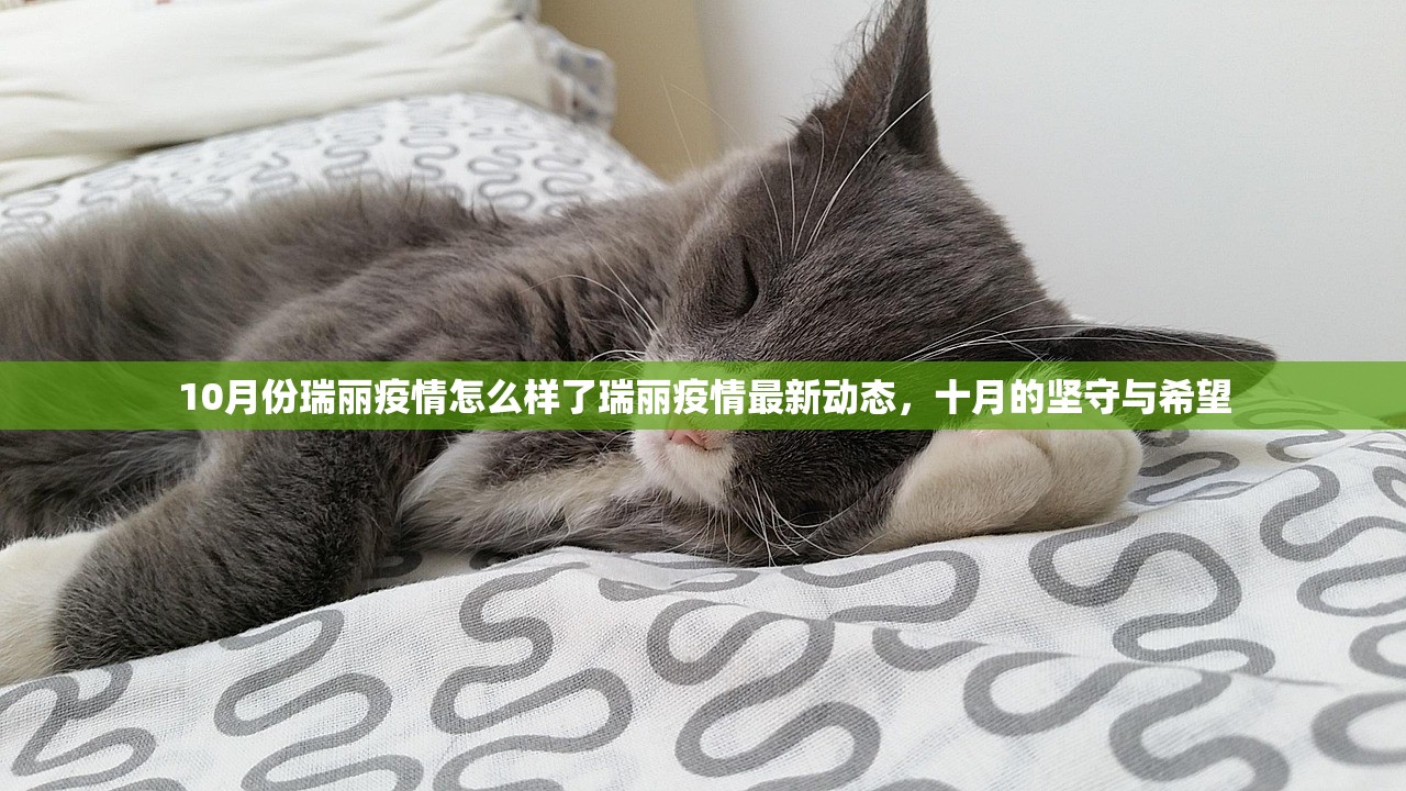 10月份瑞丽疫情怎么样了瑞丽疫情最新动态，十月的坚守与希望  第1张