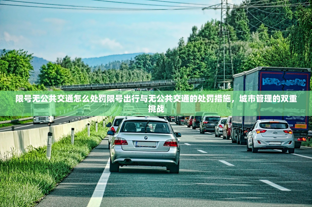 限号无公共交通怎么处罚限号出行与无公共交通的处罚措施，城市管理的双重挑战  第1张