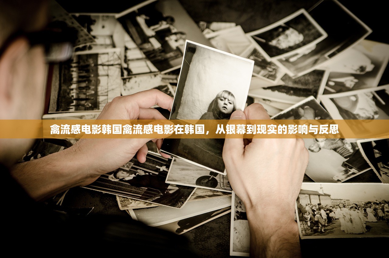 禽流感电影韩国禽流感电影在韩国，从银幕到现实的影响与反思  第1张