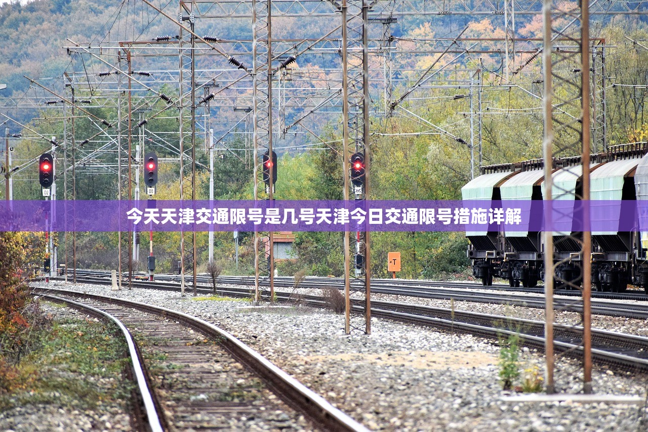 今天天津交通限号是几号天津今日交通限号措施详解  第1张