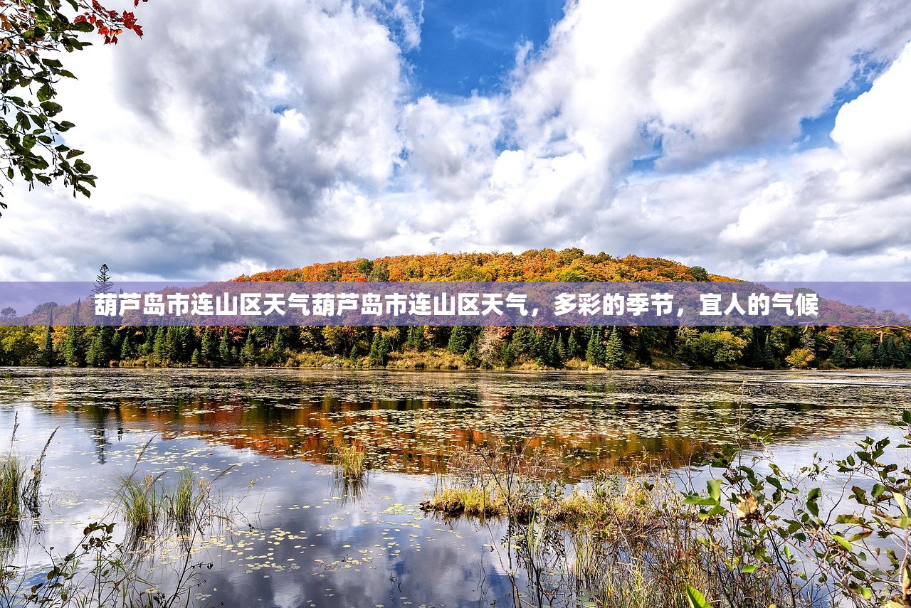 葫芦岛市连山区天气葫芦岛市连山区天气，多彩的季节，宜人的气候  第1张