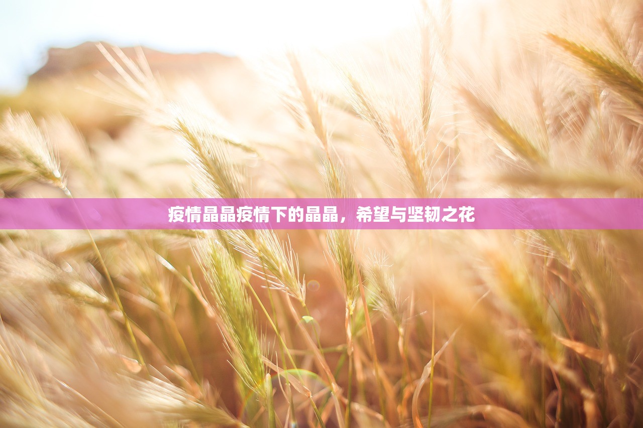 疫情晶晶疫情下的晶晶，希望与坚韧之花  第1张