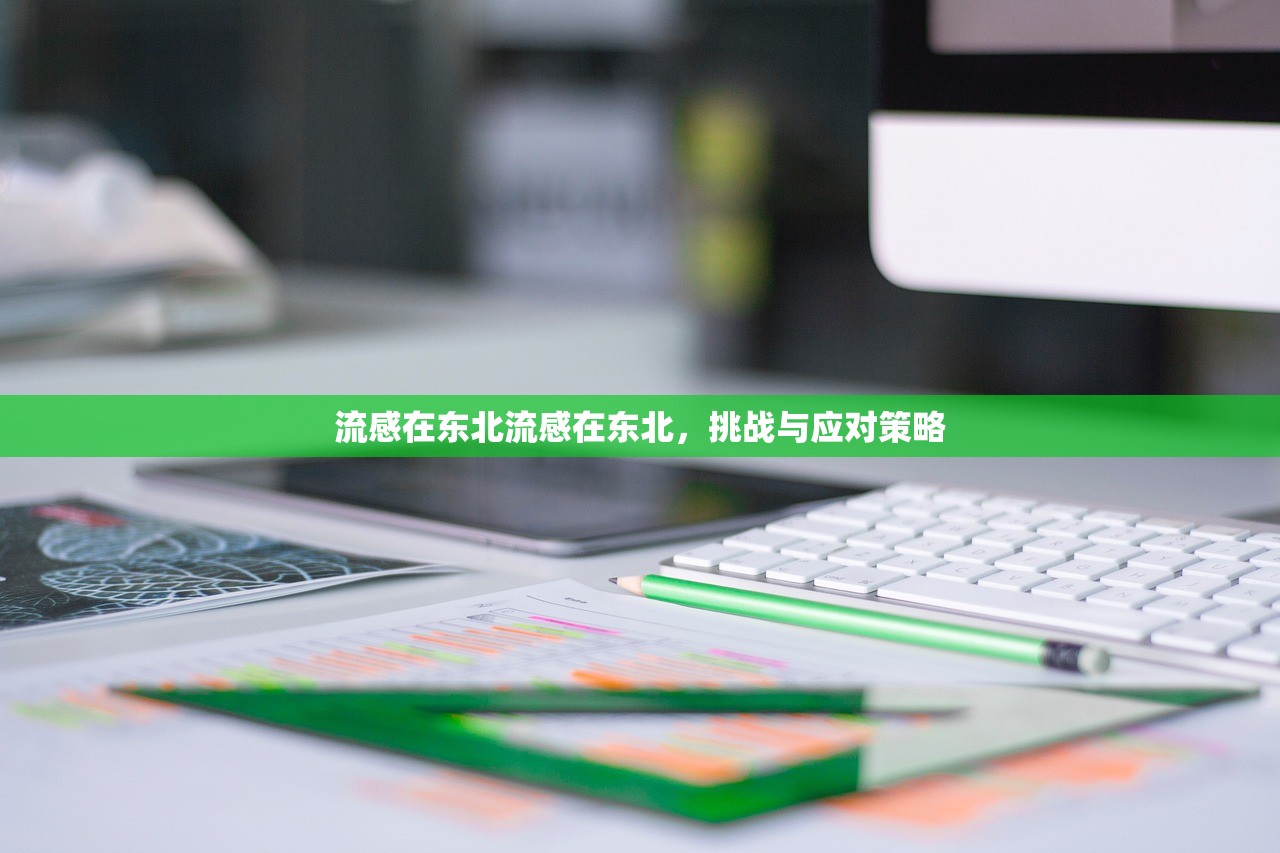 流感在东北流感在东北,挑战与应对策略 第1张 流感在东北流感在东北,挑战与应对策略 第1张