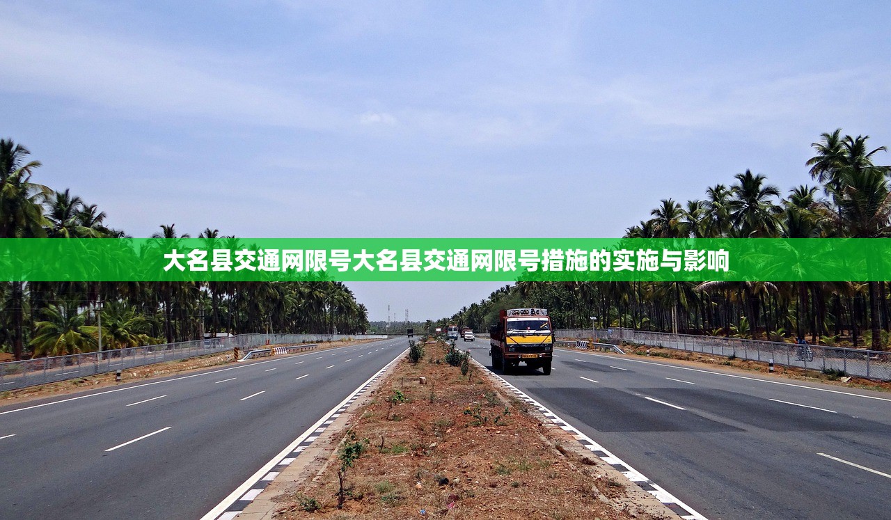 大名县交通网限号大名县交通网限号措施的实施与影响  第1张