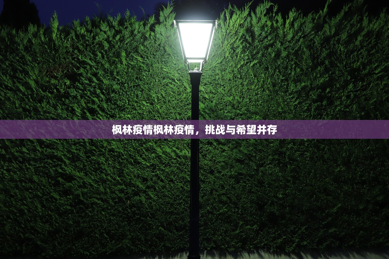 枫林疫情枫林疫情，挑战与希望并存  第1张