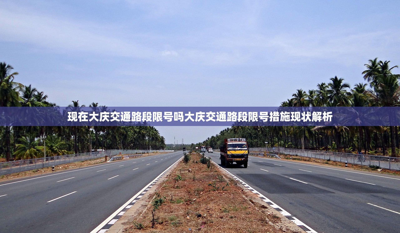 现在大庆交通路段限号吗大庆交通路段限号措施现状解析  第1张