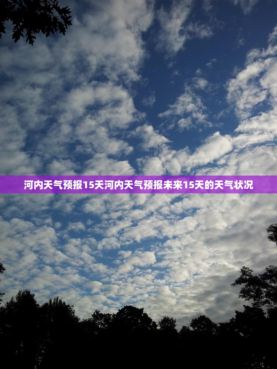 河内天气预报15天河内天气预报未来15天的天气状况  第1张