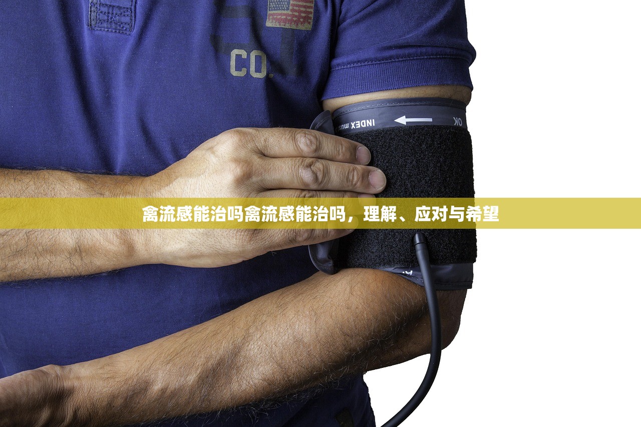 禽流感能治吗禽流感能治吗，理解、应对与希望  第1张