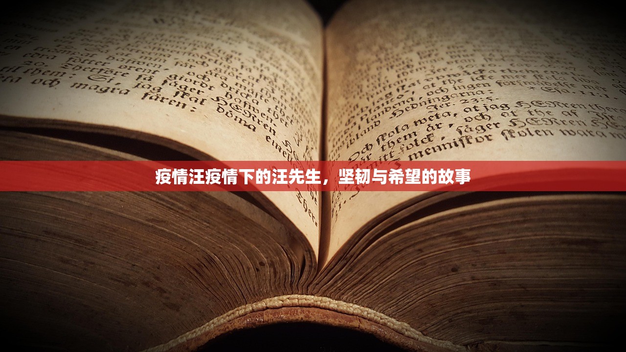 疫情汪疫情下的汪先生，坚韧与希望的故事  第1张