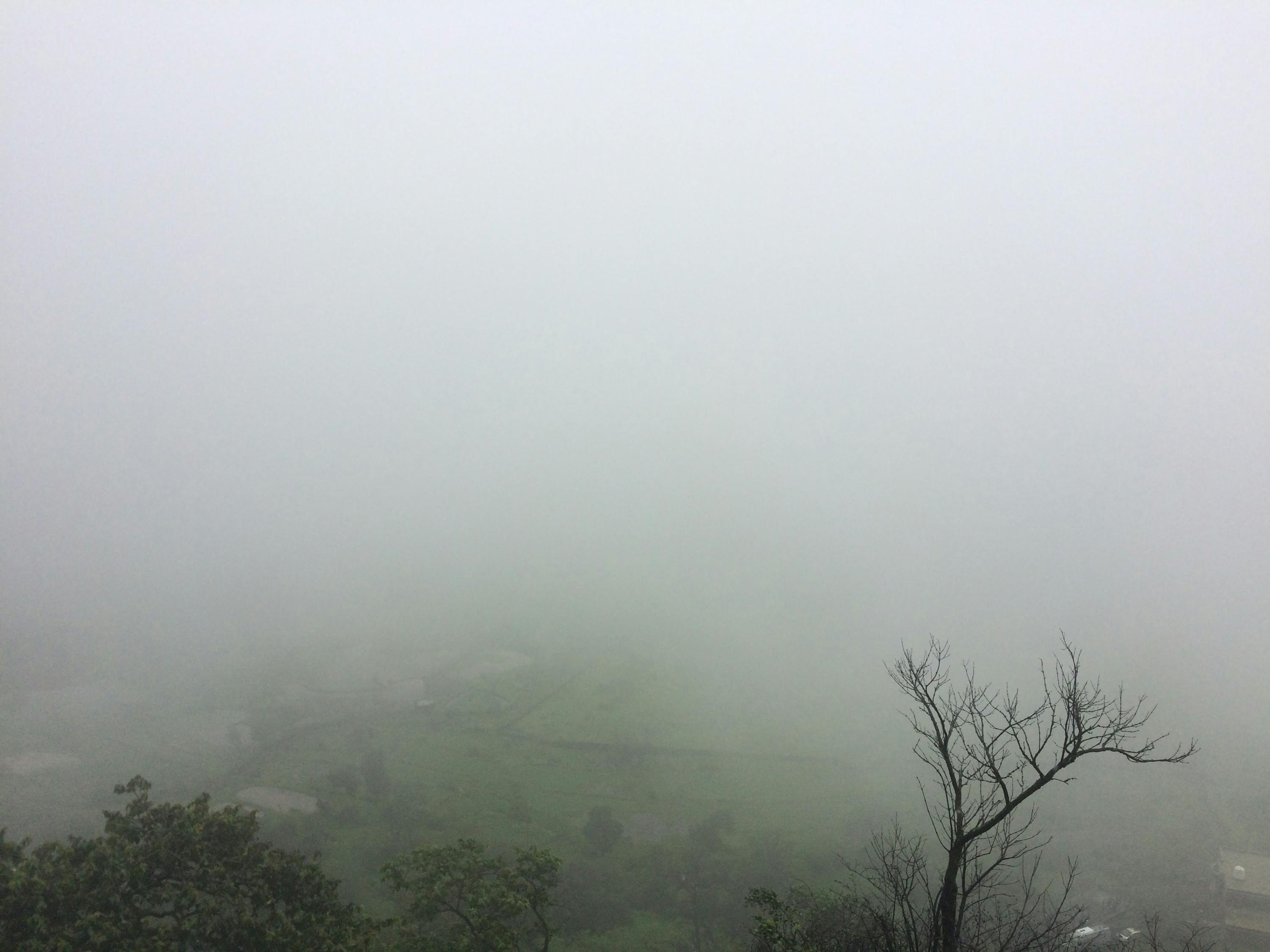 上海天气实时查询上海天气实时查询，掌握天气动态，生活更便捷  第2张
