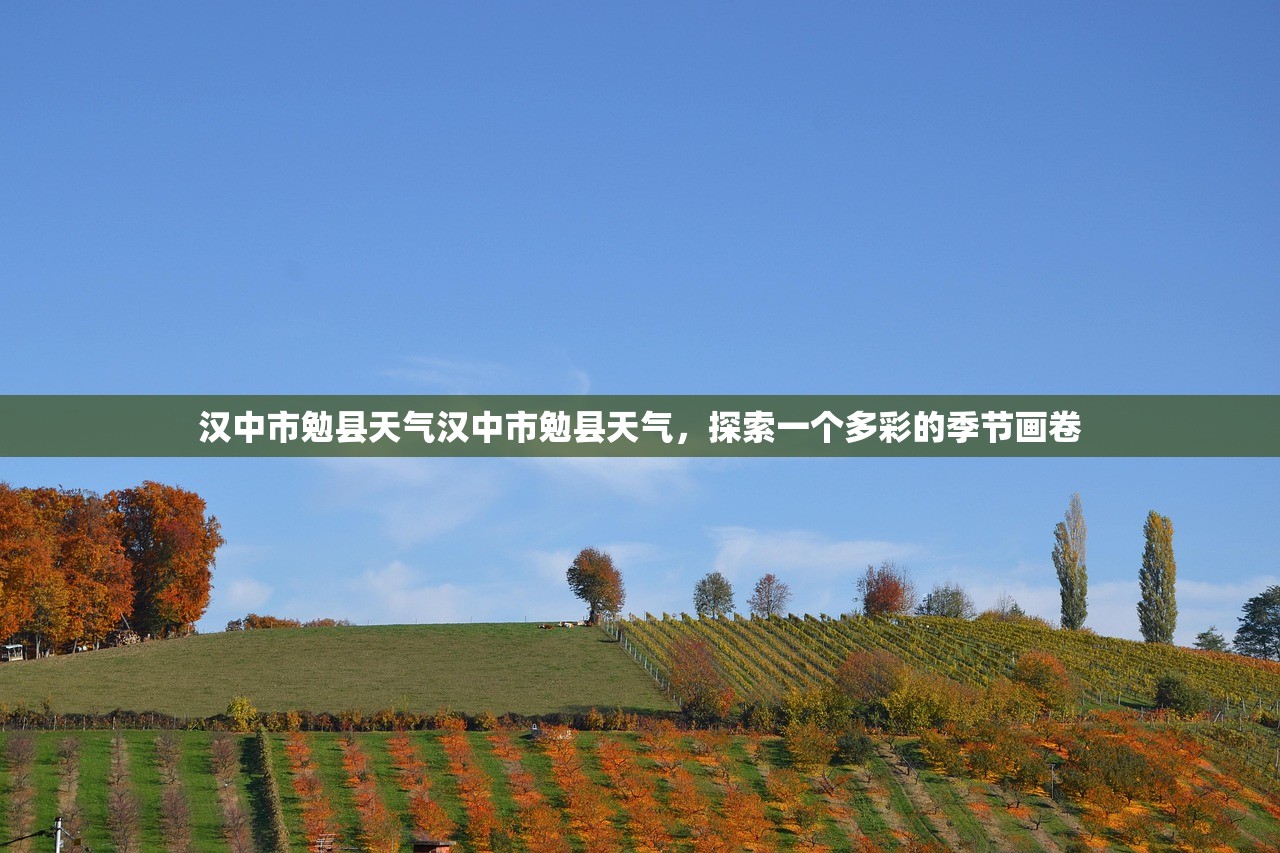 汉中市勉县天气汉中市勉县天气，探索一个多彩的季节画卷  第1张