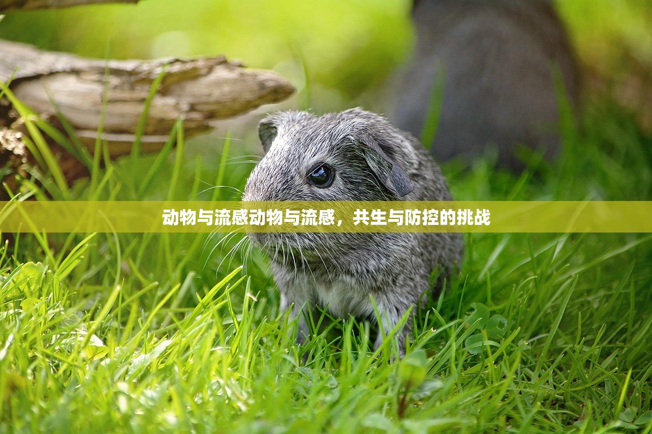 动物与流感动物与流感，共生与防控的挑战  第1张
