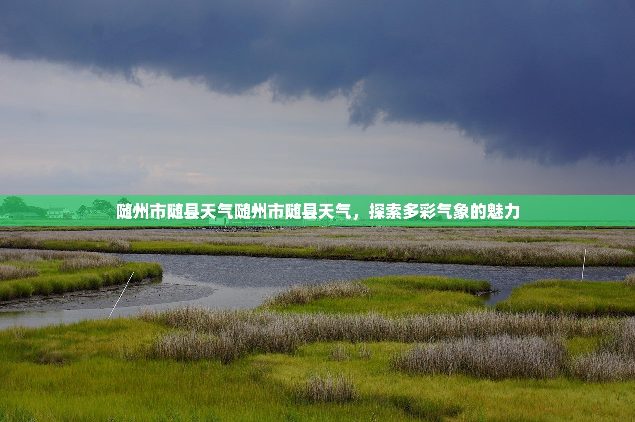 随州市随县天气随州市随县天气，探索多彩气象的魅力  第1张