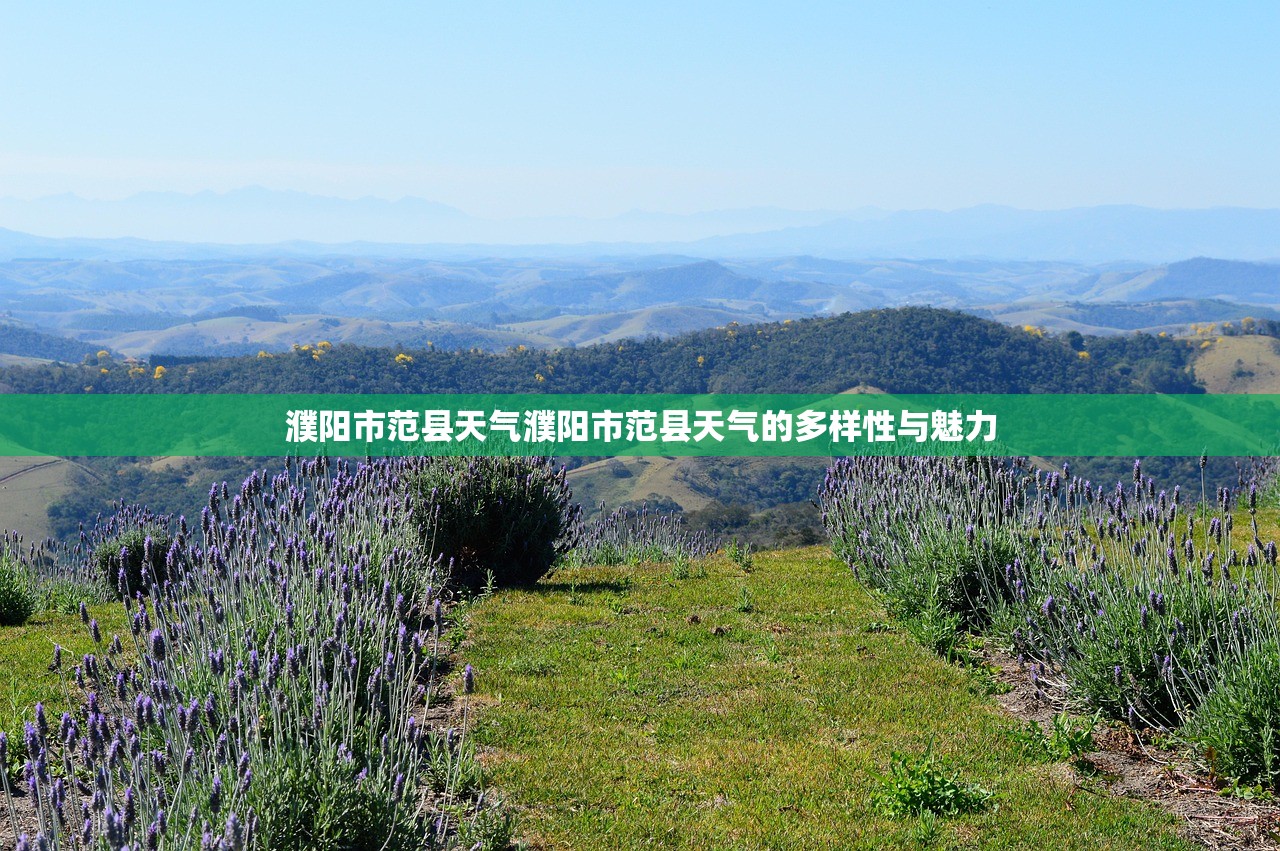 濮阳市范县天气濮阳市范县天气的多样性与魅力  第1张