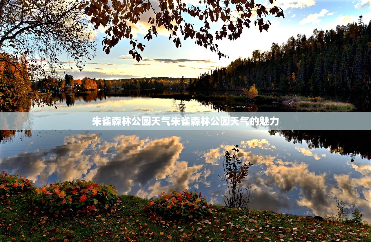 朱雀森林公园天气朱雀森林公园天气的魅力  第1张