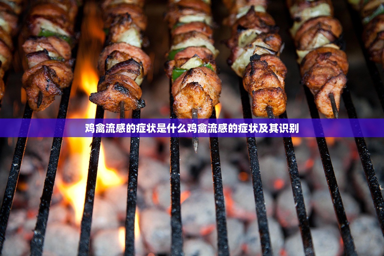 鸡禽流感的症状是什么鸡禽流感的症状及其识别  第1张