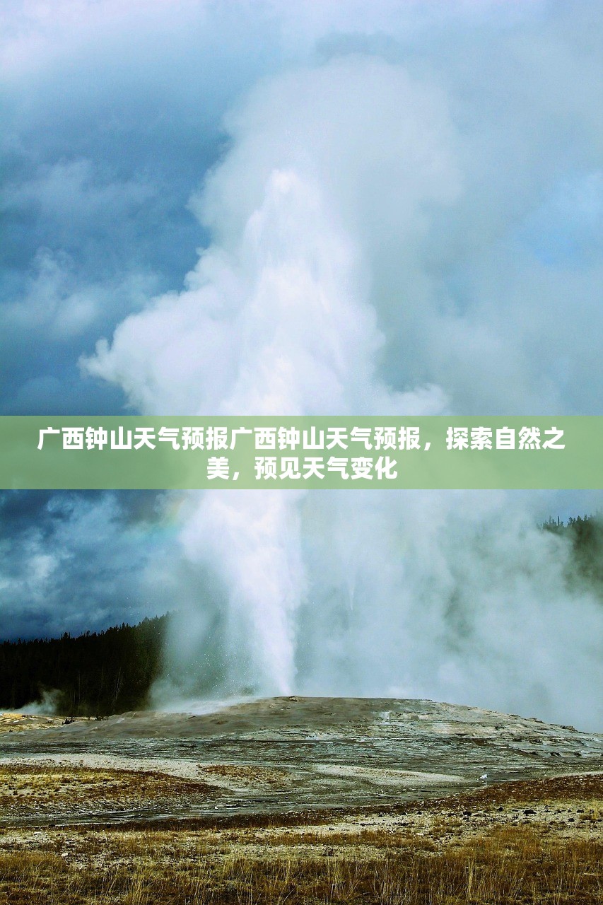 广西钟山天气预报广西钟山天气预报，探索自然之美，预见天气变化  第1张