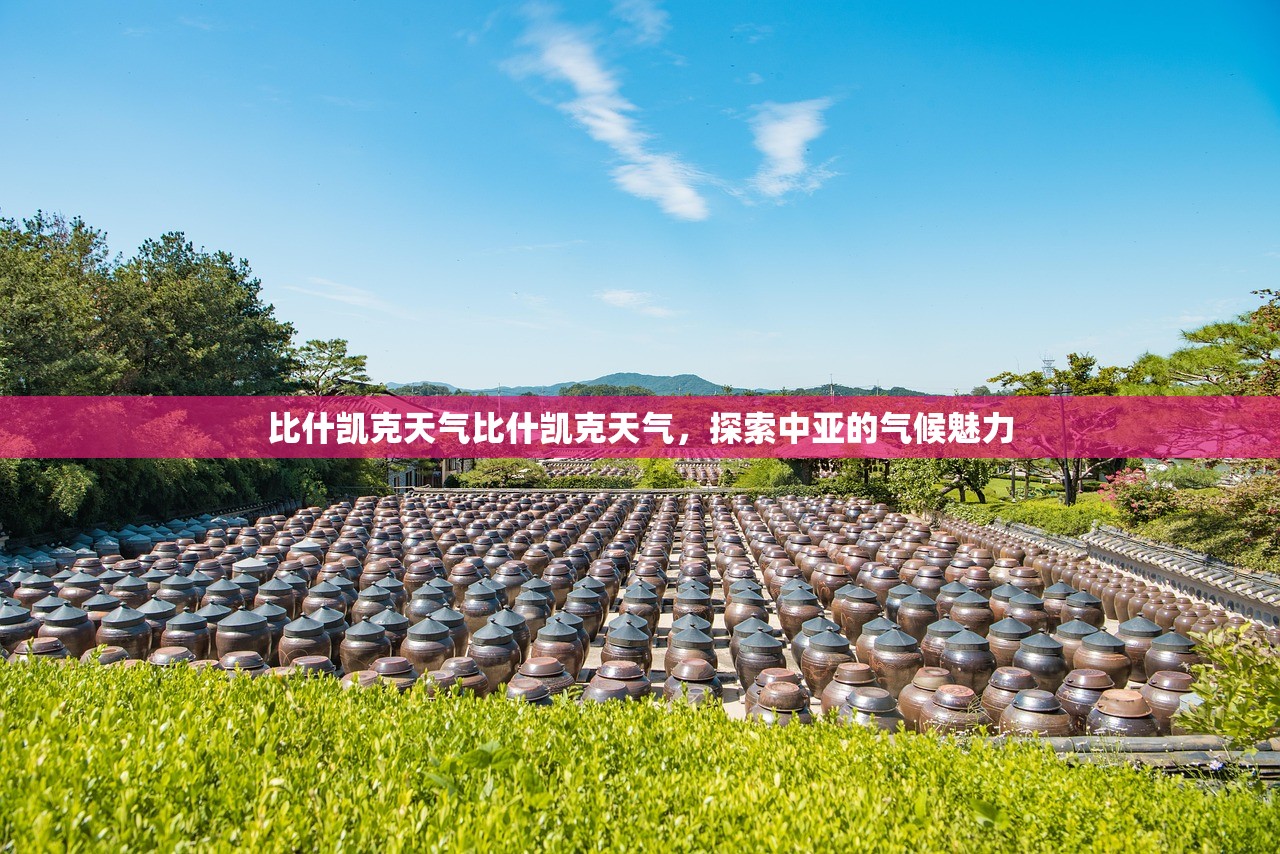 比什凯克天气比什凯克天气，探索中亚的气候魅力  第1张