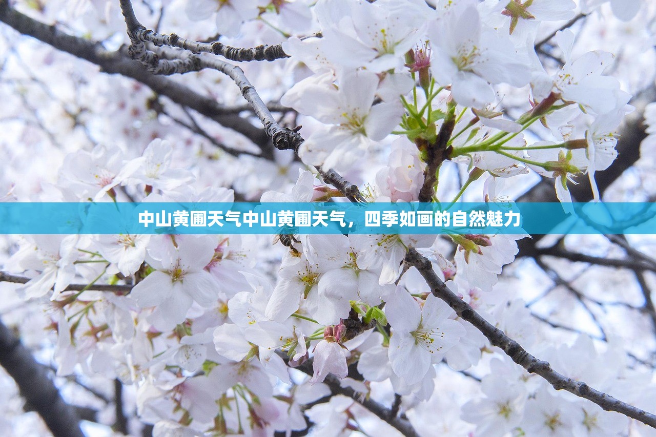 中山黄圃天气中山黄圃天气，四季如画的自然魅力  第1张