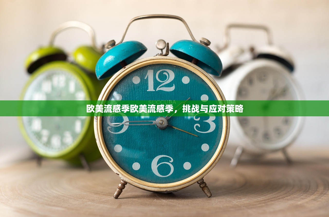 欧美流感季欧美流感季，挑战与应对策略  第1张