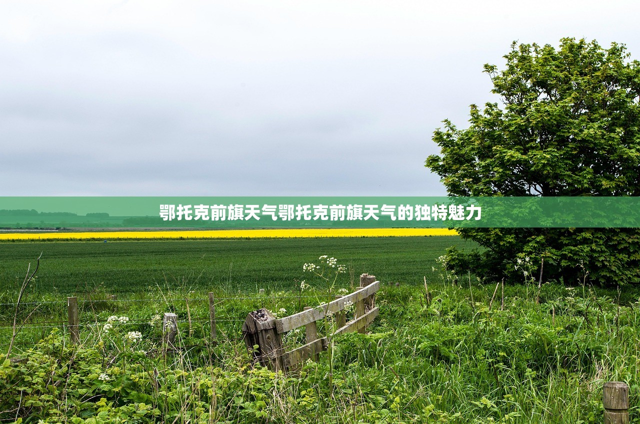 鄂托克前旗天气鄂托克前旗天气的独特魅力  第1张