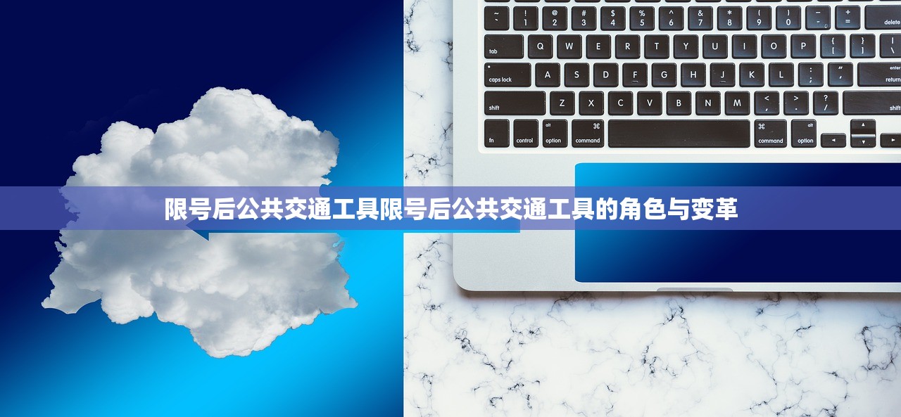 限号后公共交通工具限号后公共交通工具的角色与变革  第1张
