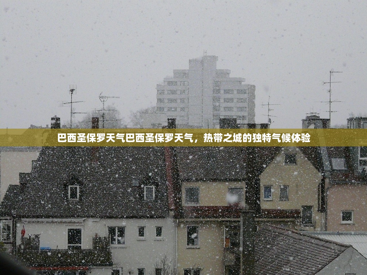 巴西圣保罗天气巴西圣保罗天气，热带之城的独特气候体验  第1张