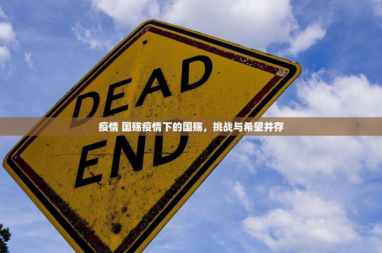 疫情 国殇疫情下的国殇，挑战与希望并存  第1张