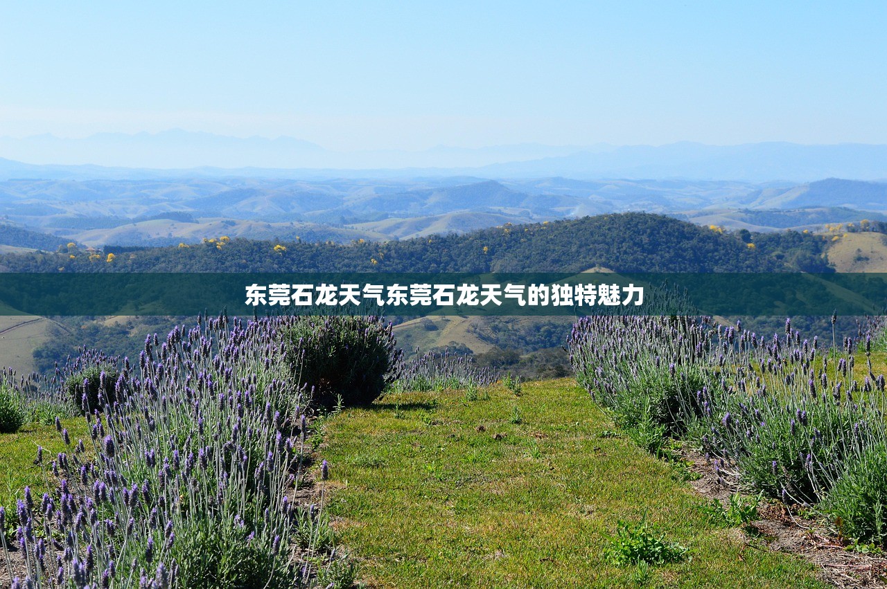 东莞石龙天气东莞石龙天气的独特魅力  第1张