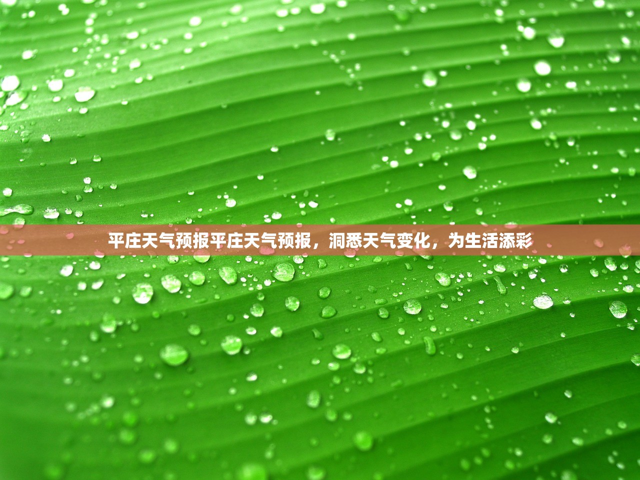平庄天气预报平庄天气预报,洞悉天气变化,为生活添彩 第1张 平庄天气预报平庄天气预报,洞悉天气变化,为生活添彩 第1张
