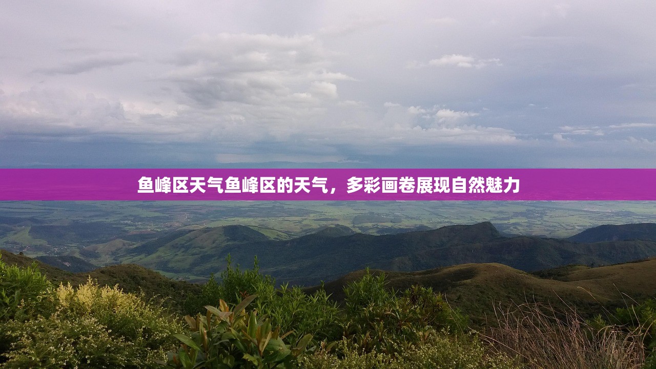 鱼峰区天气鱼峰区的天气，多彩画卷展现自然魅力  第1张