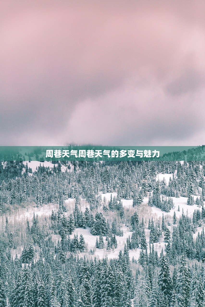 周巷天气周巷天气的多变与魅力  第1张