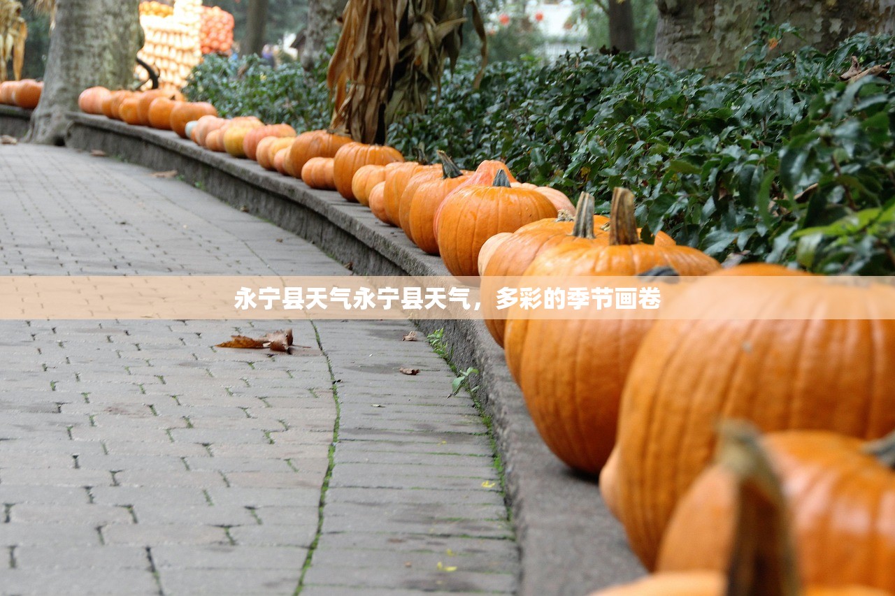永宁县天气永宁县天气，多彩的季节画卷  第1张