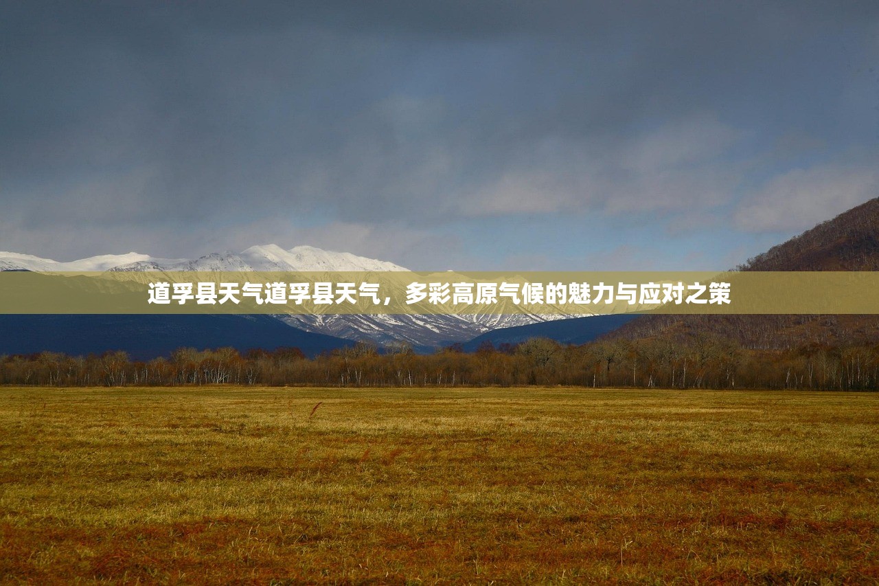 道孚县天气道孚县天气,多彩高原气候的魅力与应对之策 第1张 道孚县天气道孚县天气,多彩高原气候的魅力与应对之策 第1张