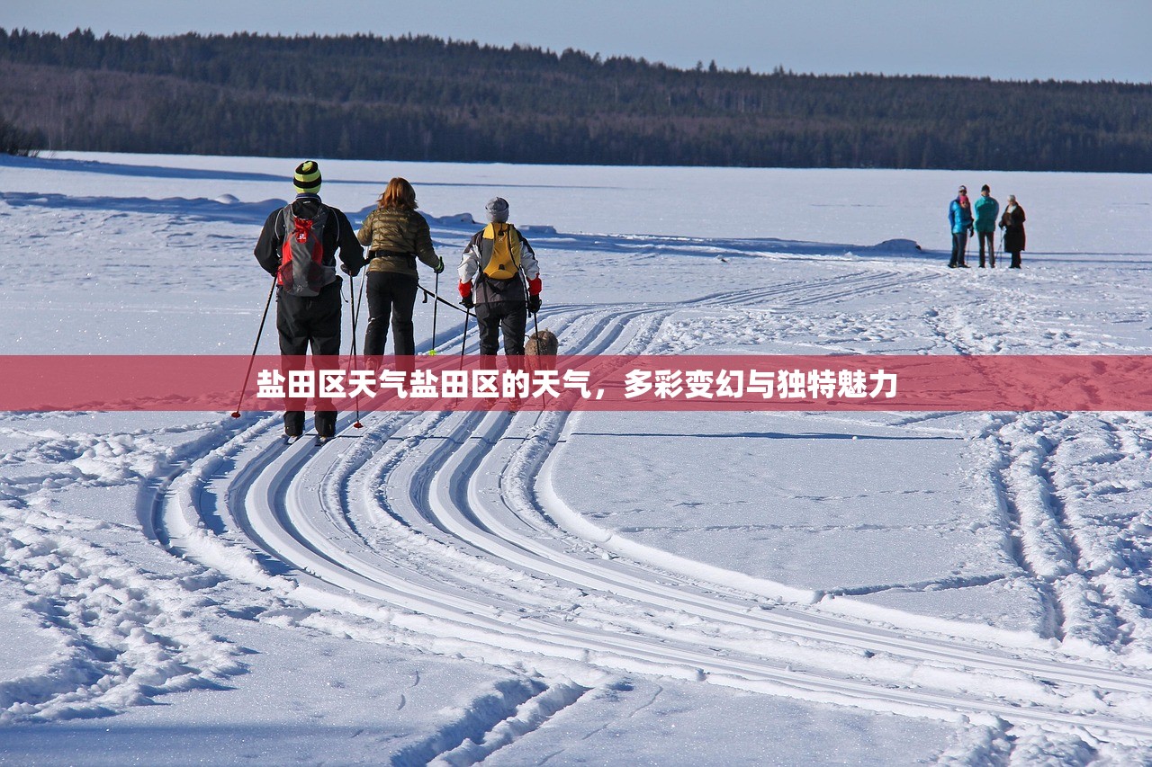 盐田区天气盐田区的天气，多彩变幻与独特魅力  第1张